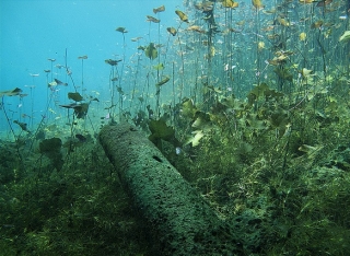  Cenote Car Wash 